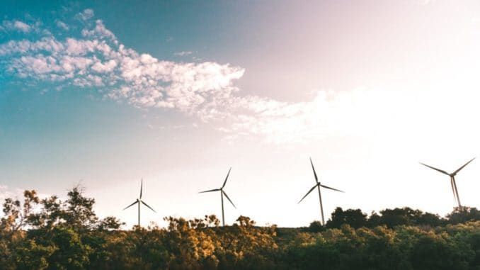 windmill-near-green-trees-691458