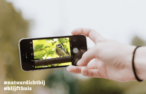 Blijf thuis en doe mee met de #natuurdichtbij fotochallenge