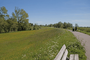 Ook deze zomer nog overlast door motoren op de IJsseldijk