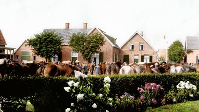 Persfoto-2-Paardenvordering-in-Bathmen-door-het-Nederlandse-leger-ingekleurd-door-Piece-of-Jake-1400x923-1