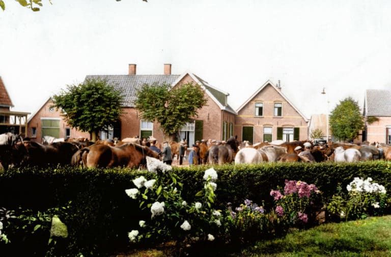 Oorlogsfoto’s kleuren gemeente Deventer