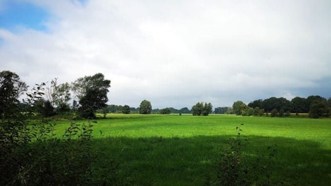 IMG_20200830_105534_0
