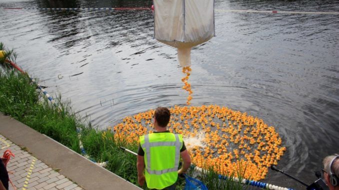 duckrace-vechtdal-2020