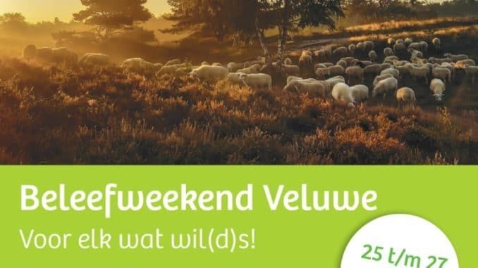 Poster beleefweekend