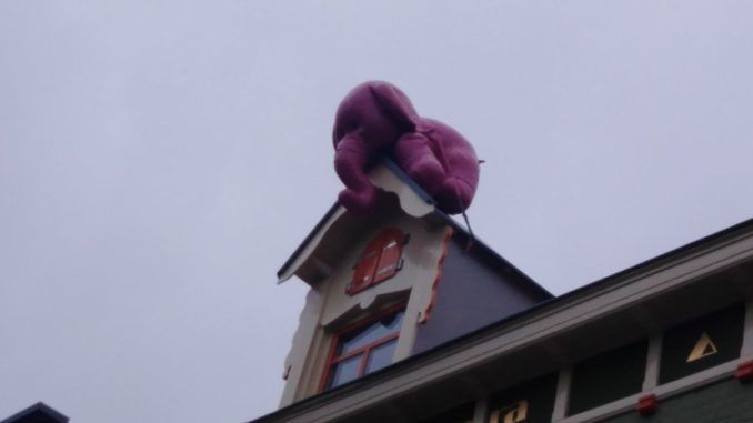 olifant dak