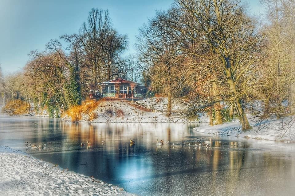 Sneeuw en kou in Salland: hoe worden dieren in goede gezondheid gehouden?