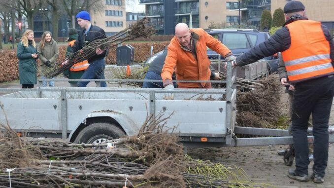perenboom