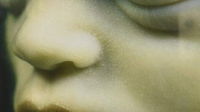 Rammstein-Mutter-2001-800x445