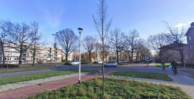 Meer bomen behouden Margijnenenk