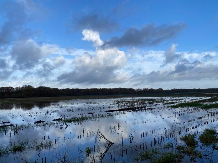 Ondergelopen akker, wateroverlast. uiterwaard onder water WDODelta