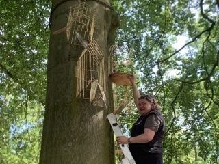 Sophia de Vries aan het werk