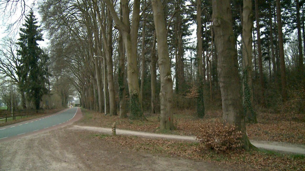 [VIDEO]Traasterbos Bathmen locatie natuurbegraafplaats? : 