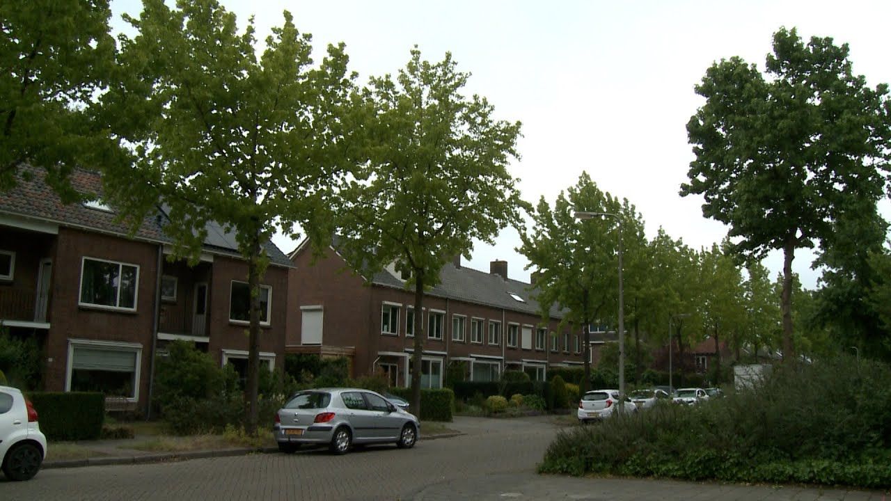 [VIDEO] Kaalslag dreigt voor bomen Constantijn Huijgensstraat Deventer: "Er is niet geluisterd naar