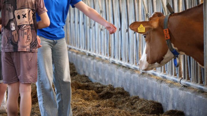 Leerlingen van VSO De Linde actief tijdens leerzame Foodcamp. Foto: Elleke de Vries