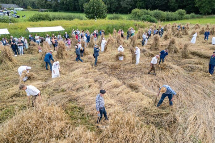 Roggemaaiersavond luidt Stöppelhaene op traditionele wijze in.