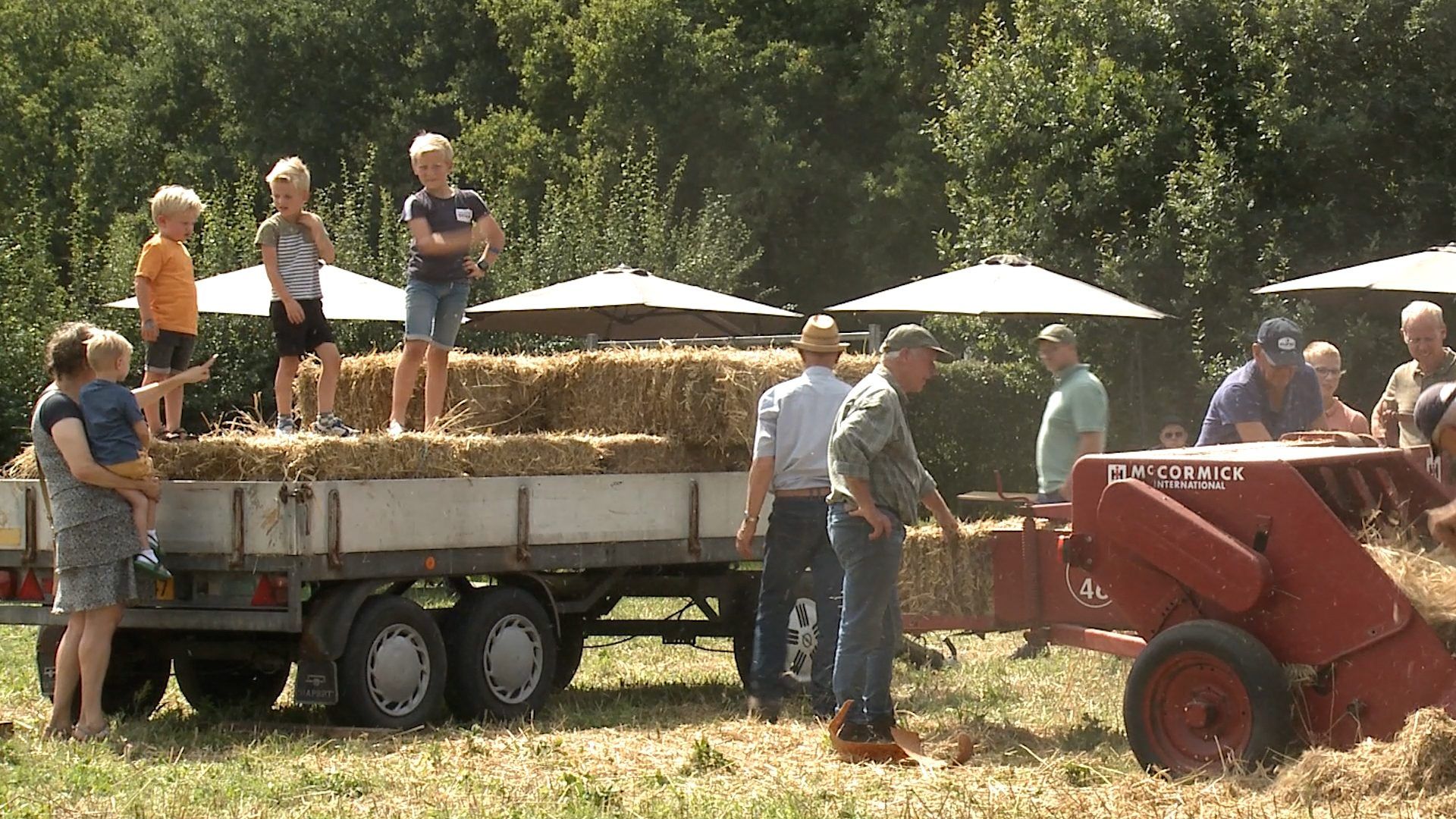 [VIDEO]Dorsdag bij museum de Laarman in Luttenberg