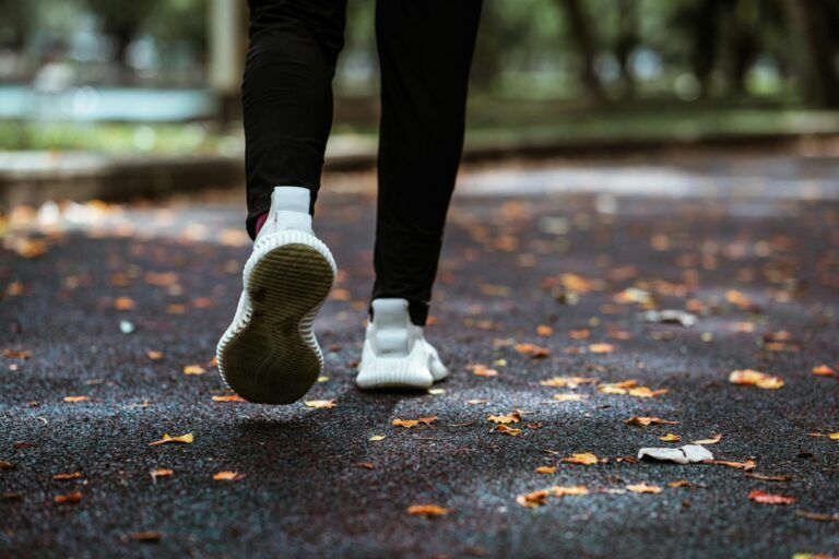 Schipbeeksurvivalrun keert terug