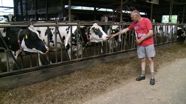 LTO Noord afd. Salland over stikstofplannen kabinet: “Het is heel ingrijpend voor boeren in Salland”