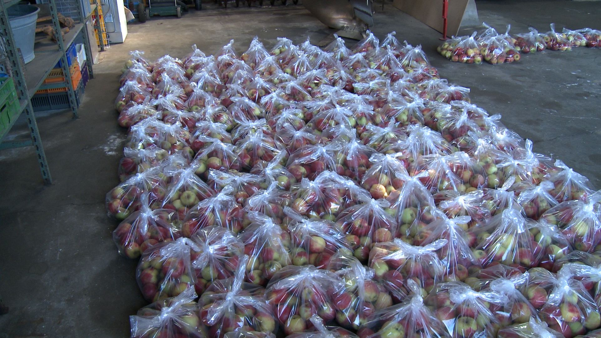 Appelactie Wesepe voor onderhoud dorpskerk levert ruim € 1800,- op: 